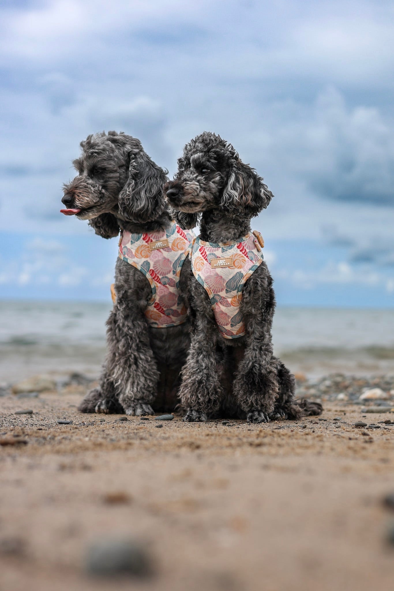 Say-Shells Adjustable Harness
