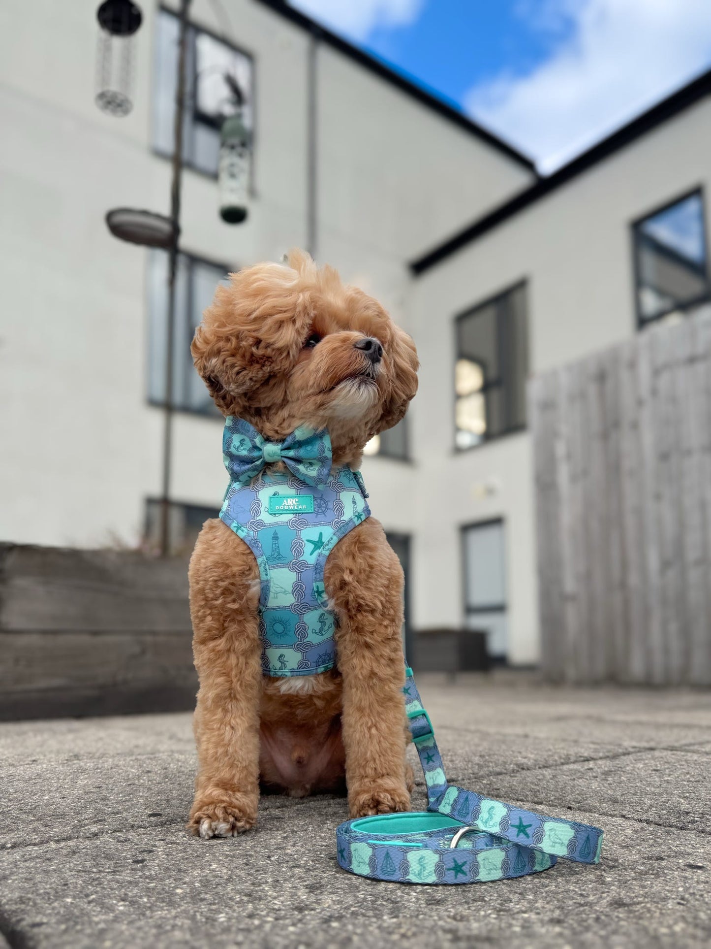 Sea-La-Vie Adjustable Harness