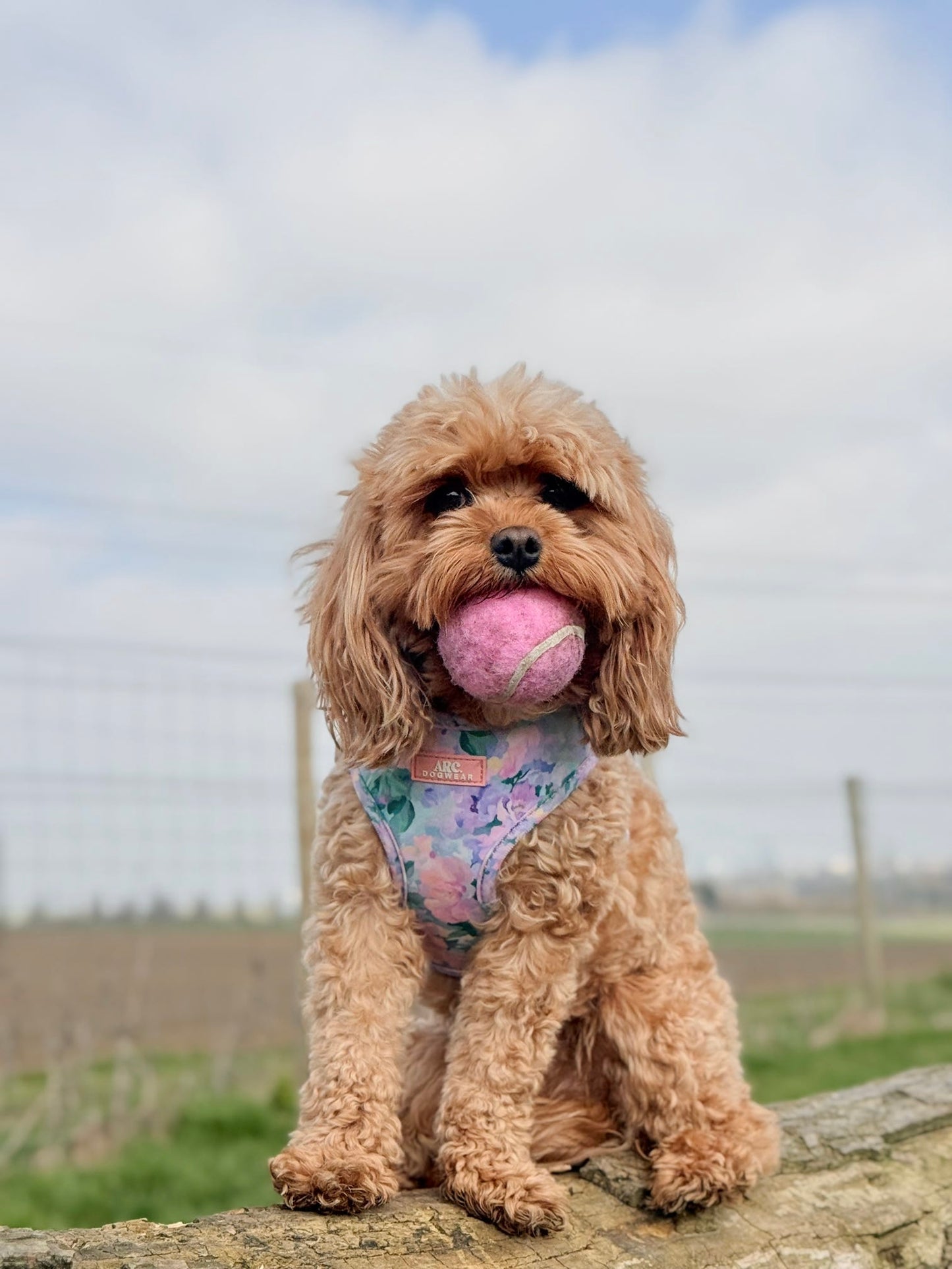 Mellie's Meadow Adjustable Harness
