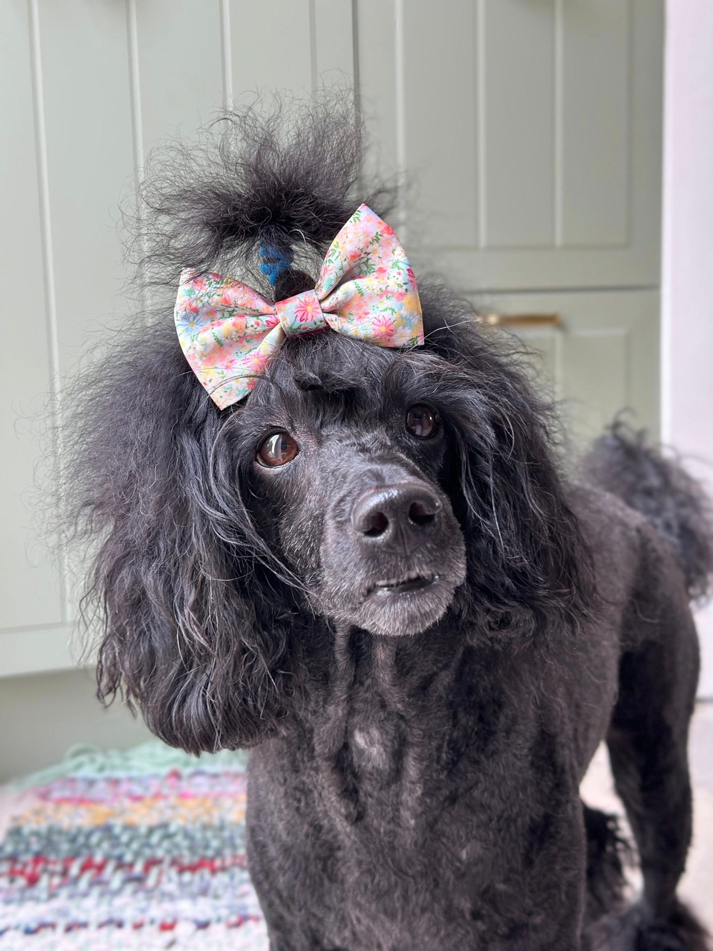 Flora Bow Tie