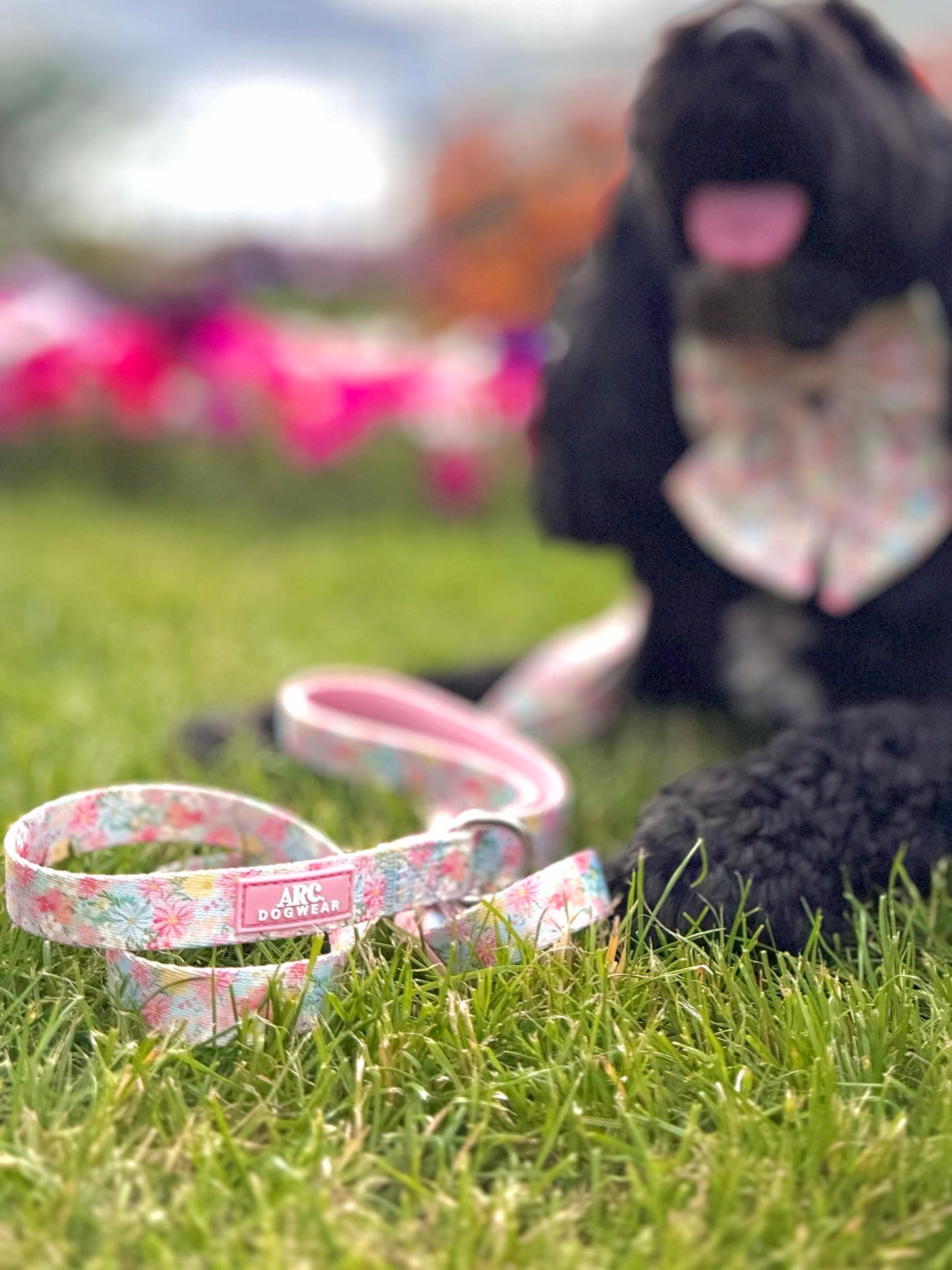 Flora Adjustable Lead