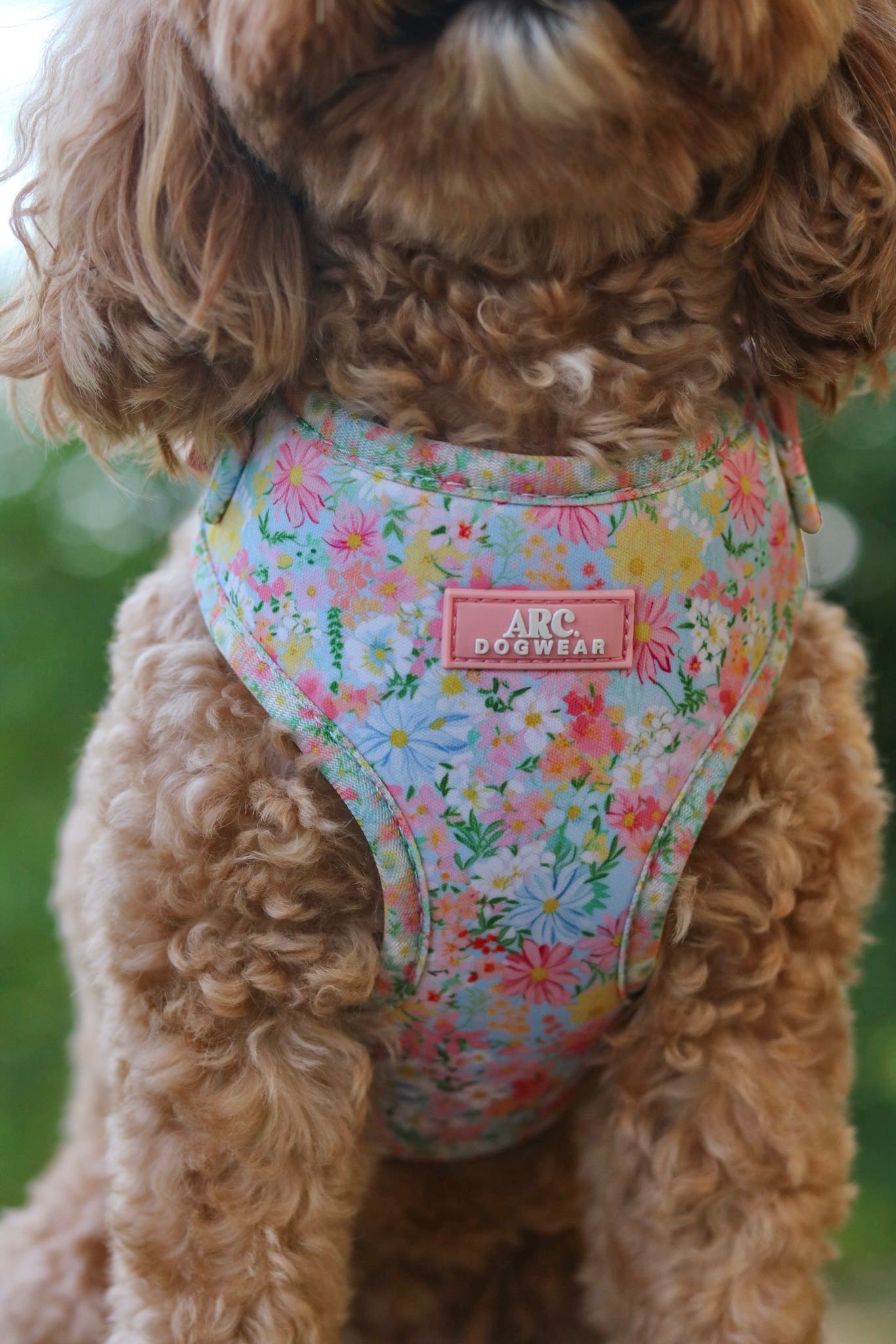 Flora Adjustable Harness