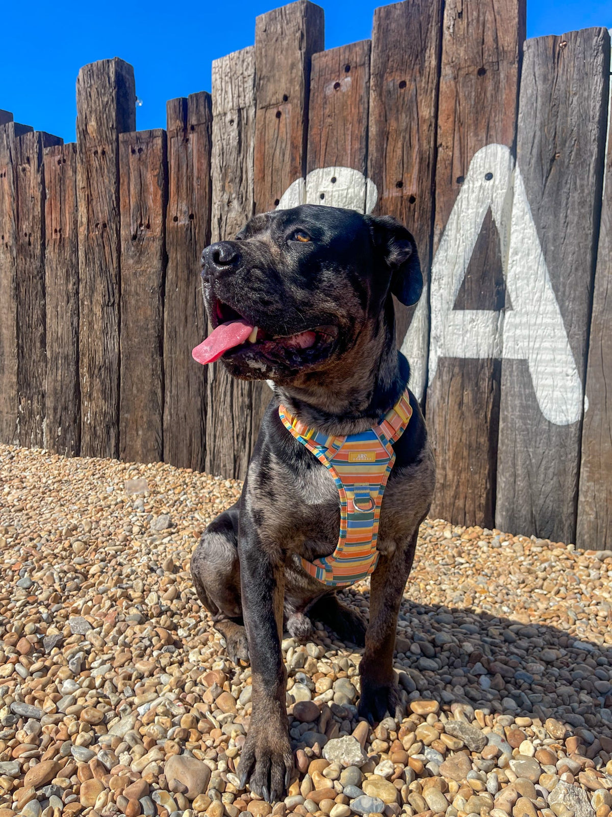Sete ARC. Adventurer Harness - Original Size Guide