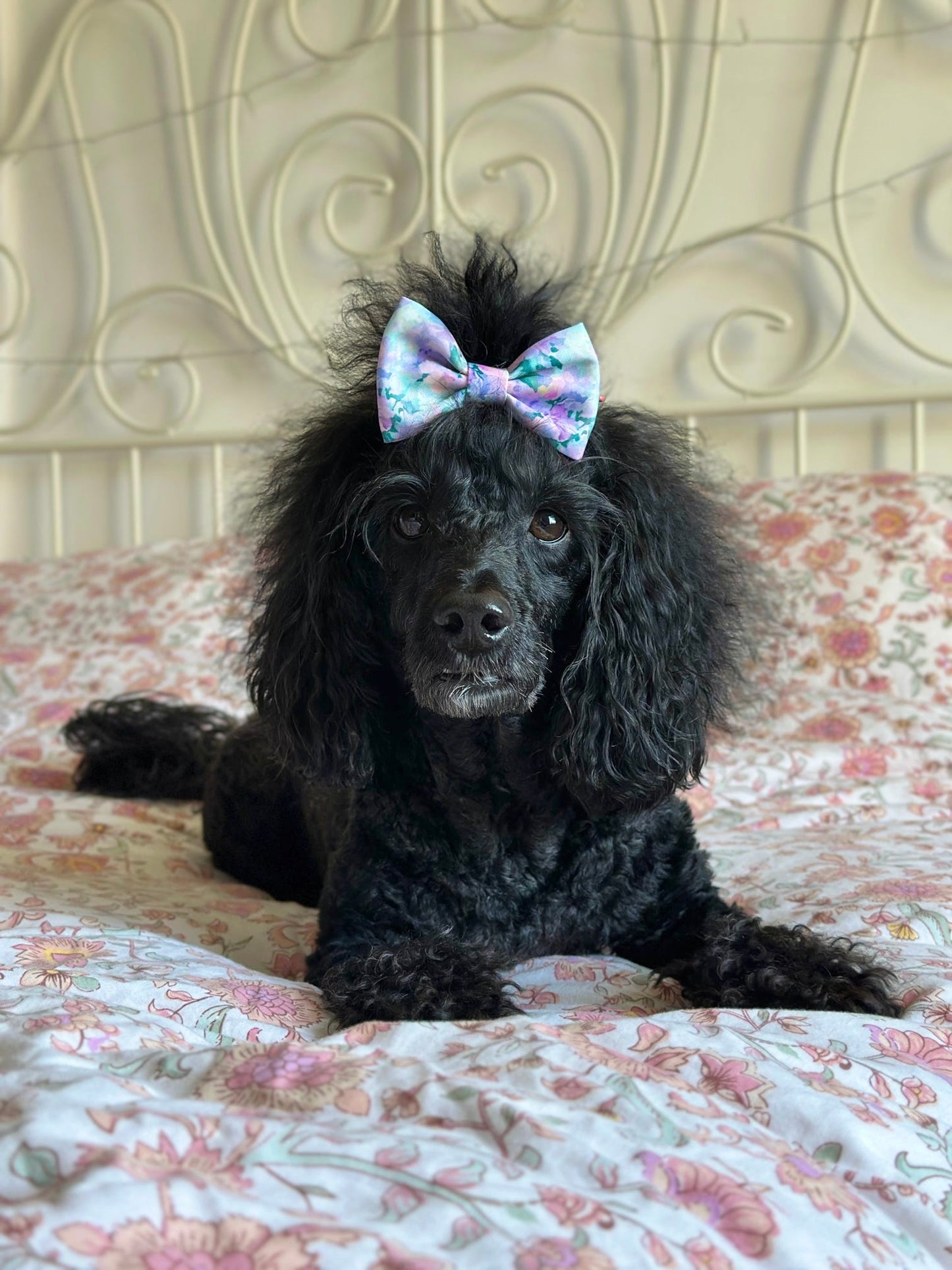 Mellie's Meadow Bow Tie