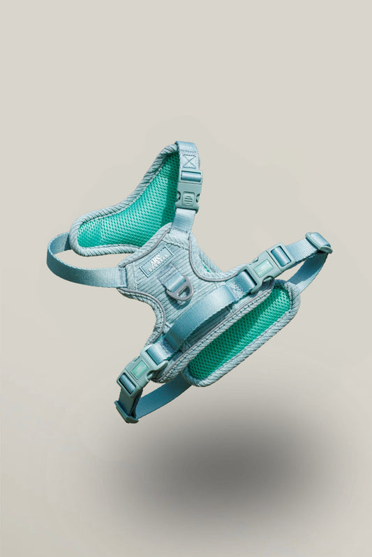 Celadon ARC. Adventurer Harness (Corduroy)