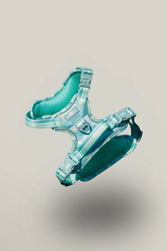 Vista ARC. Adventurer Harness