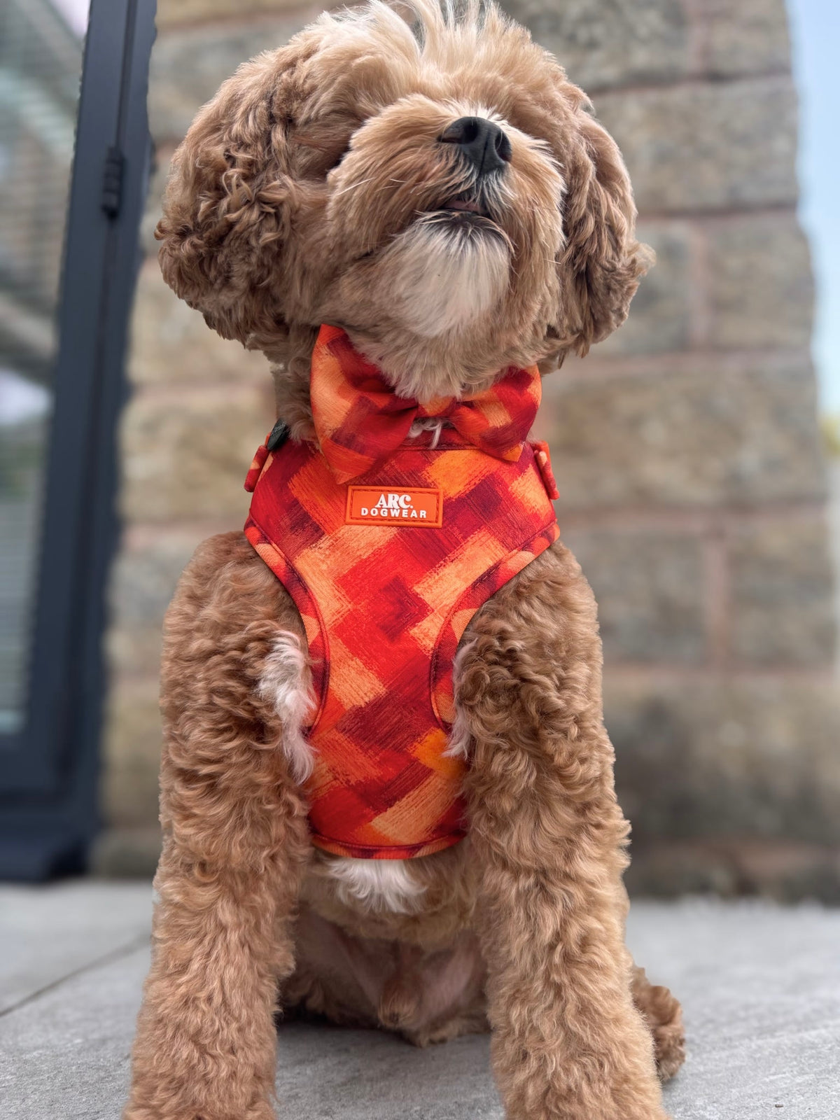 Auburn Bow Tie
