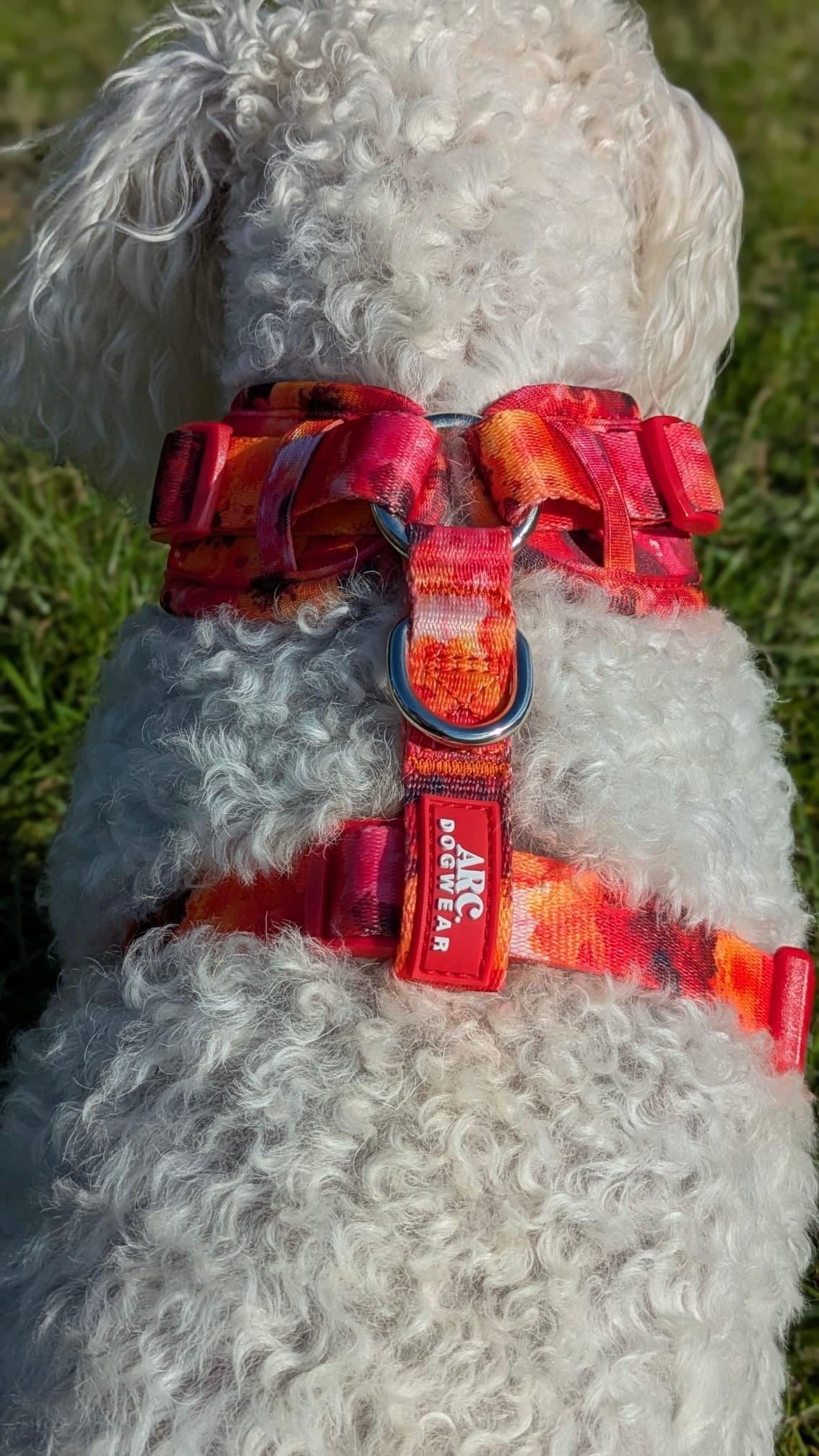 Ember Adjustable Harness