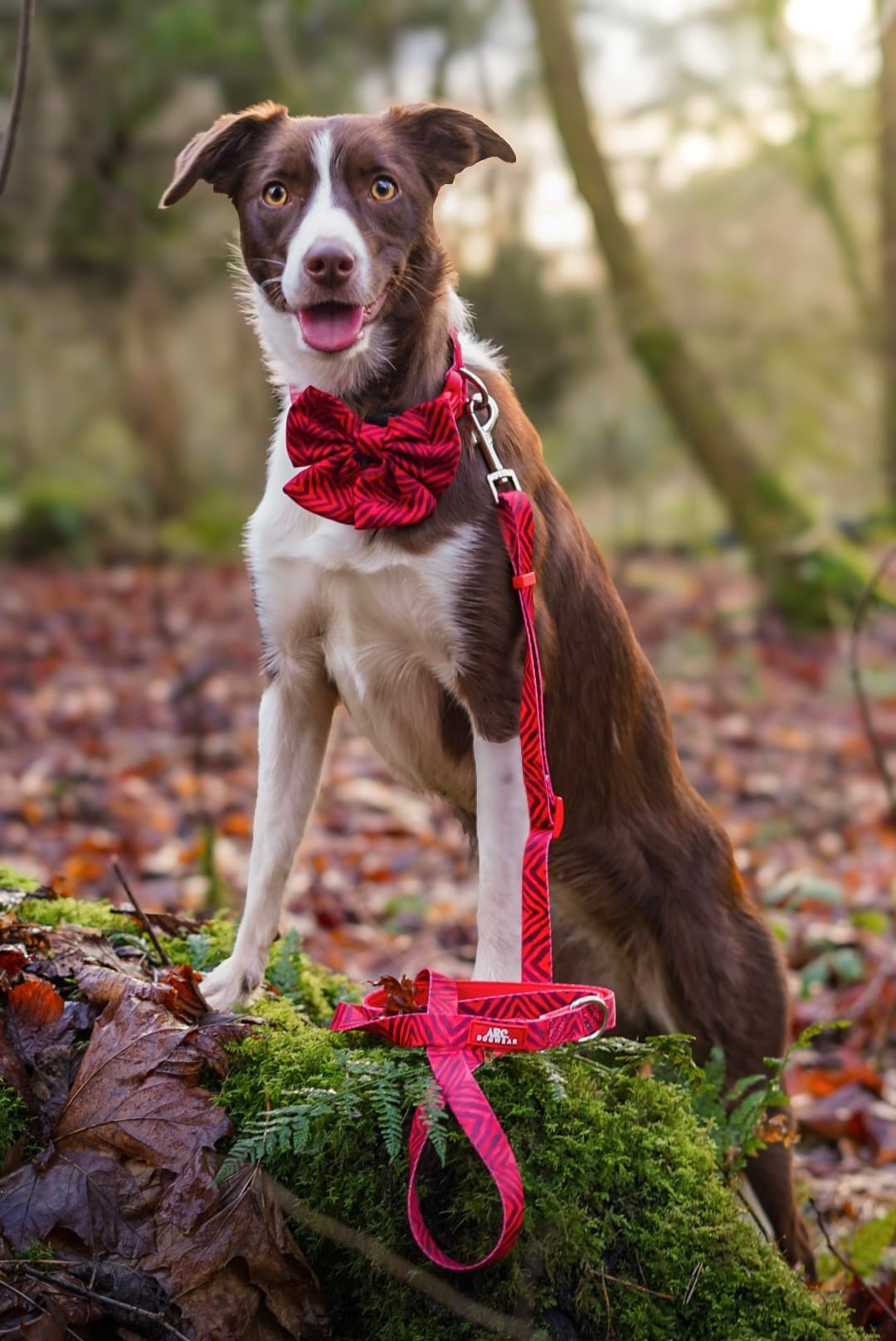 Wild at Heart Adjustable Lead