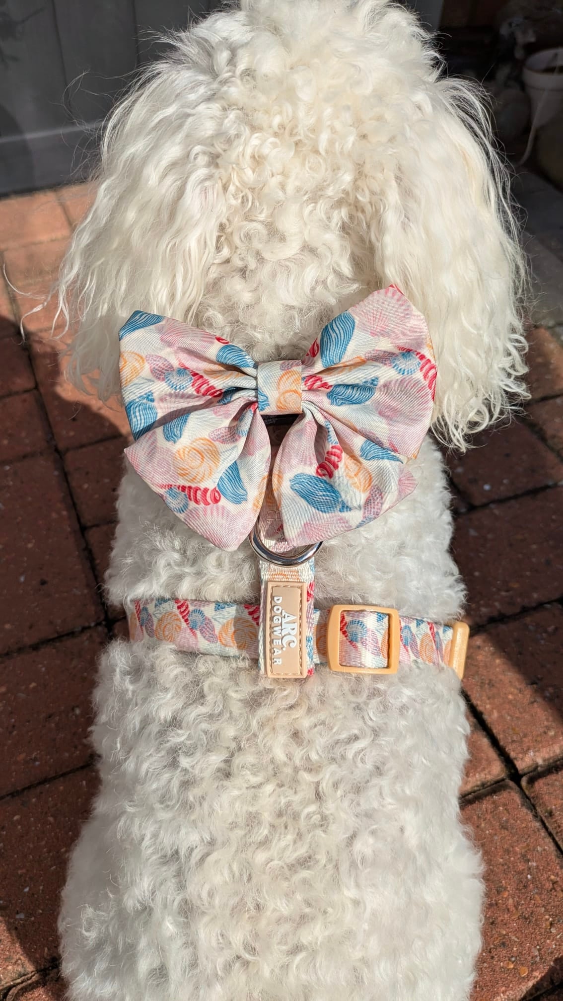 Say-Shells Sailor Bow