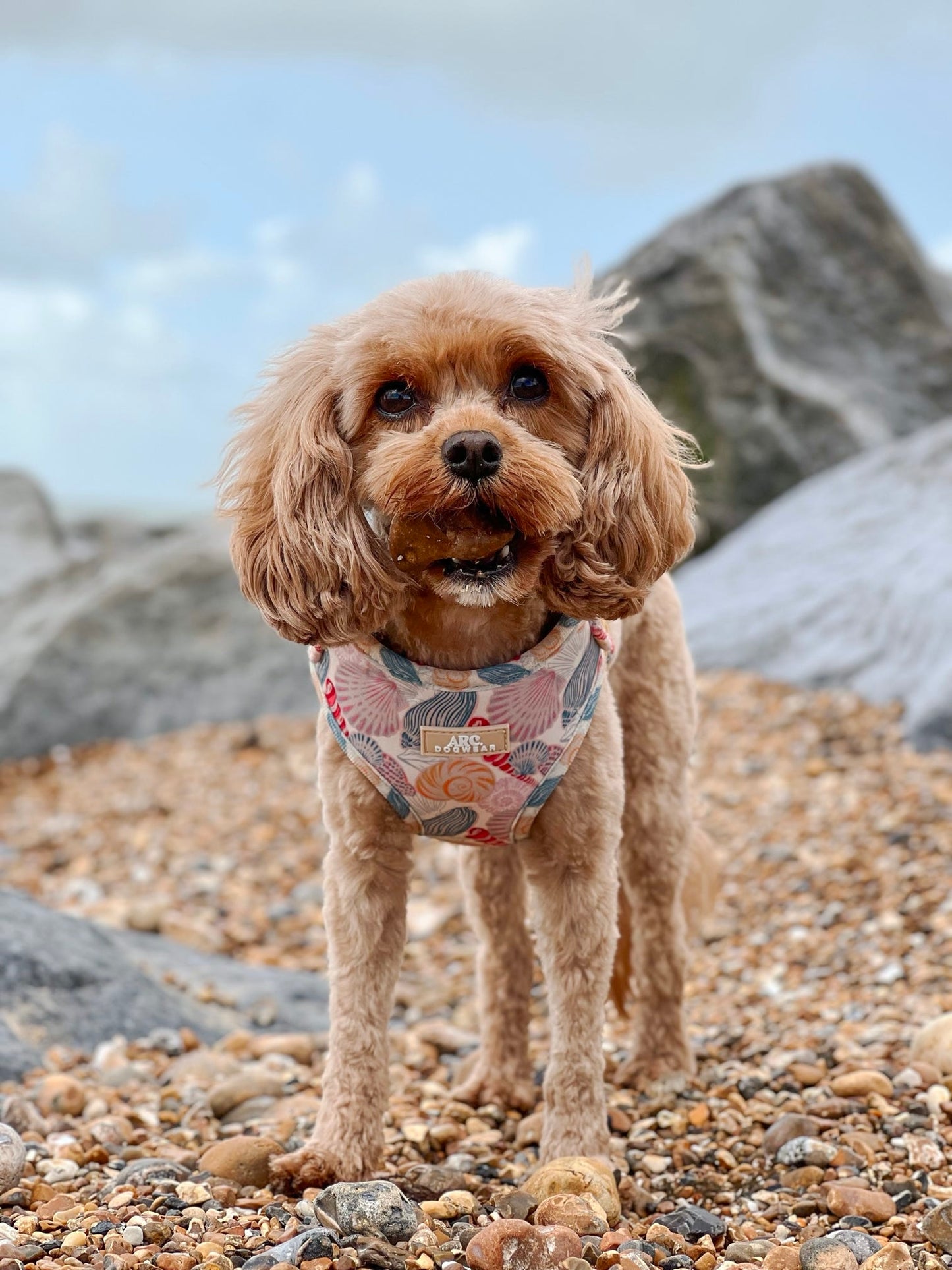 Say-Shells Adjustable Harness