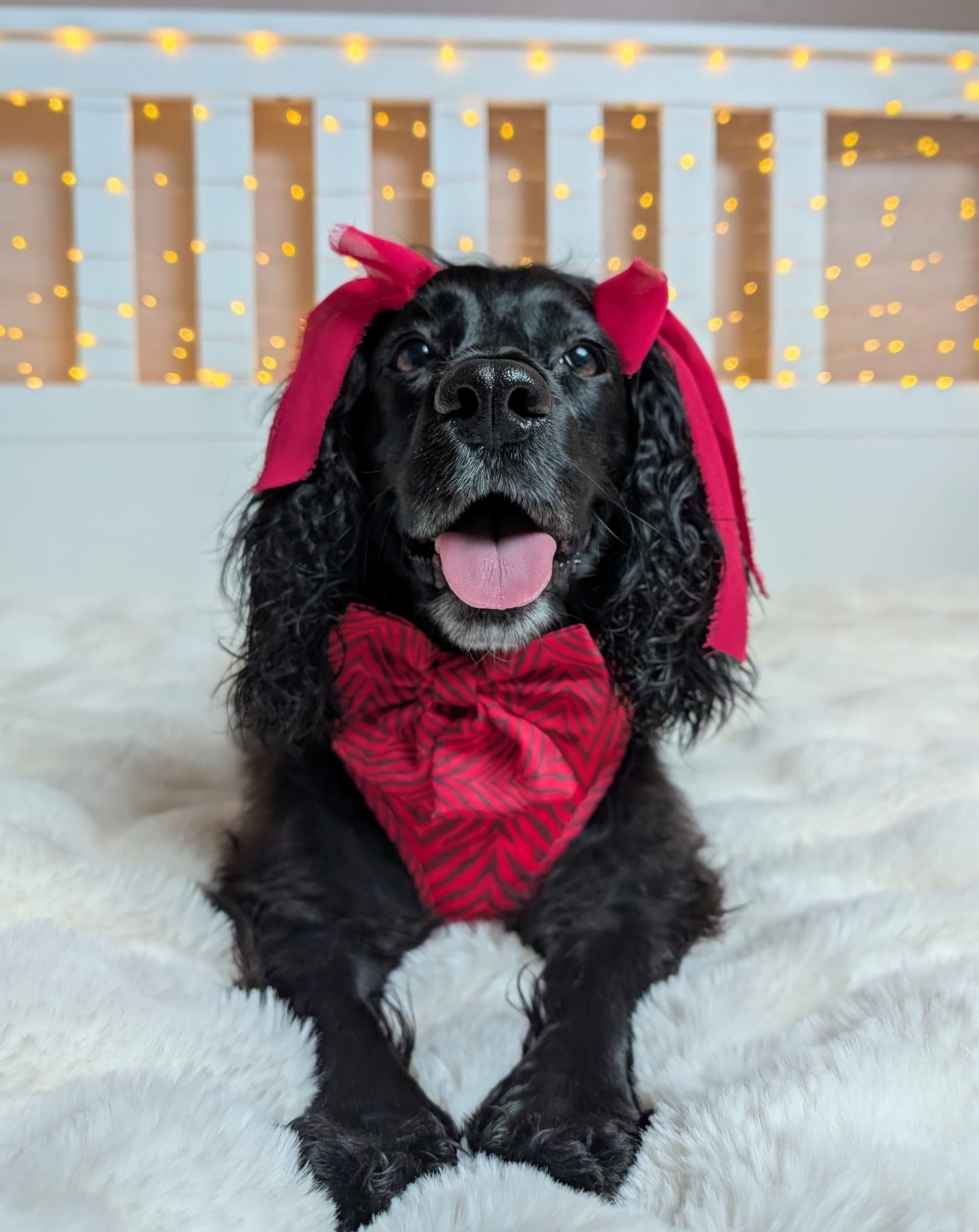 Wild at Heart Sailor Bow