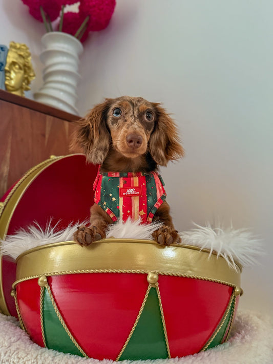 Starfall Adjustable Harness