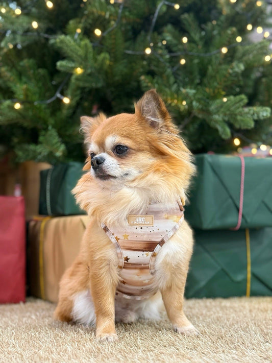 Starlight Adjustable Harness