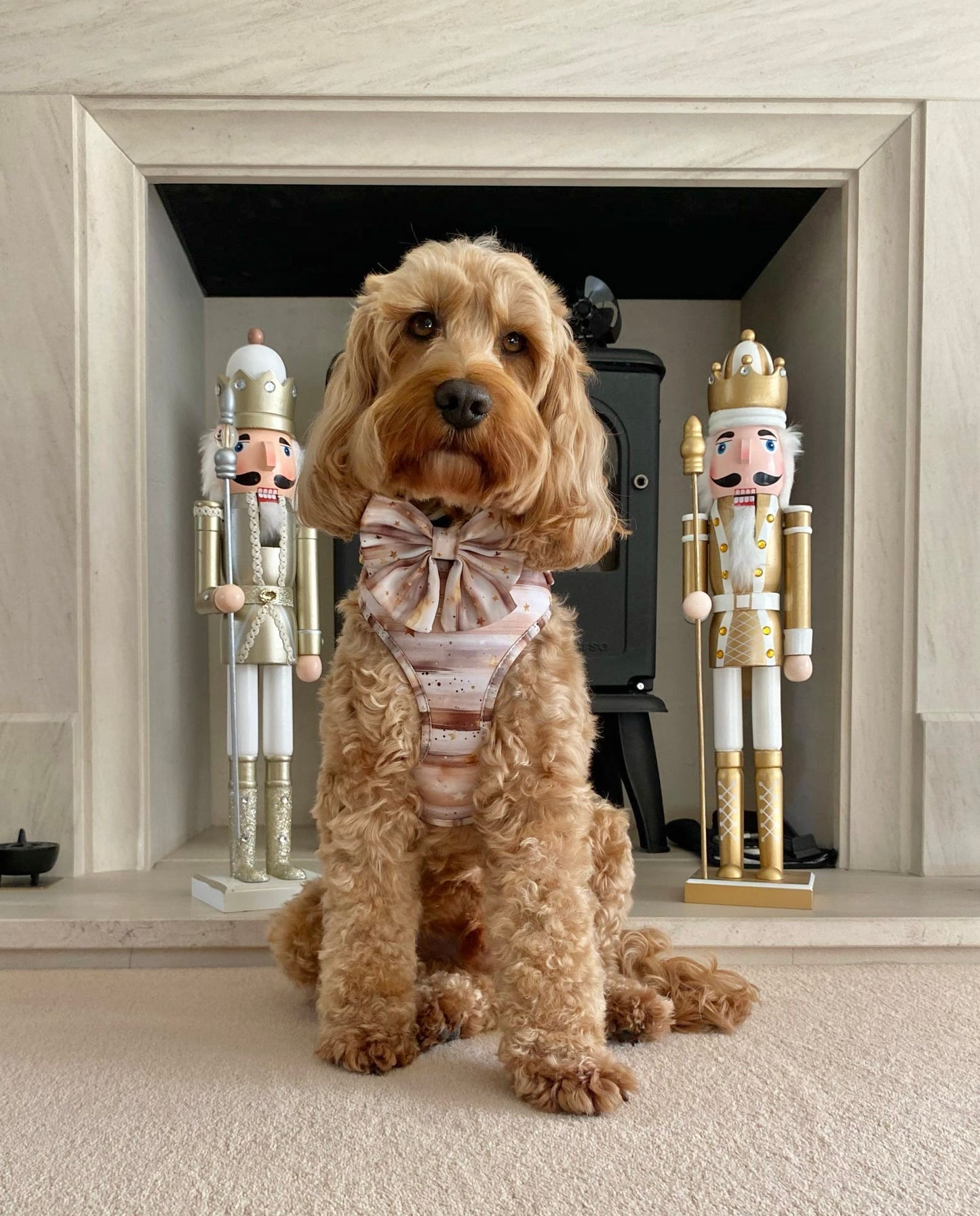 Starlight Adjustable Harness