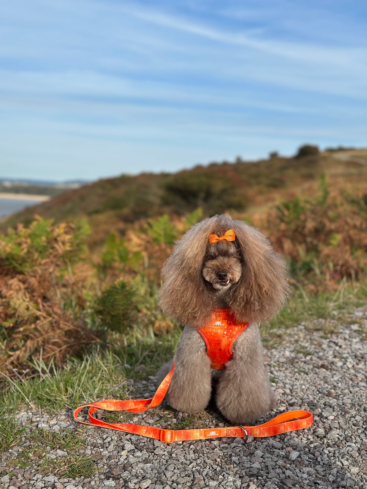 Solstice Adjustable Lead