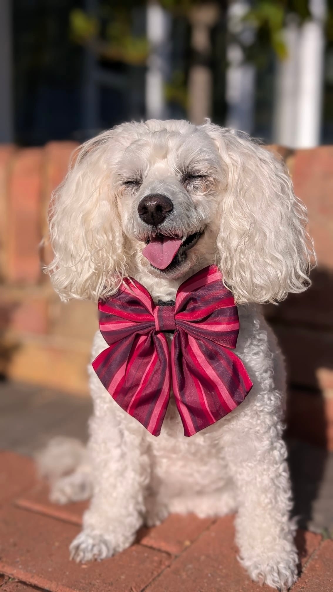 Bramble Sailor Bow