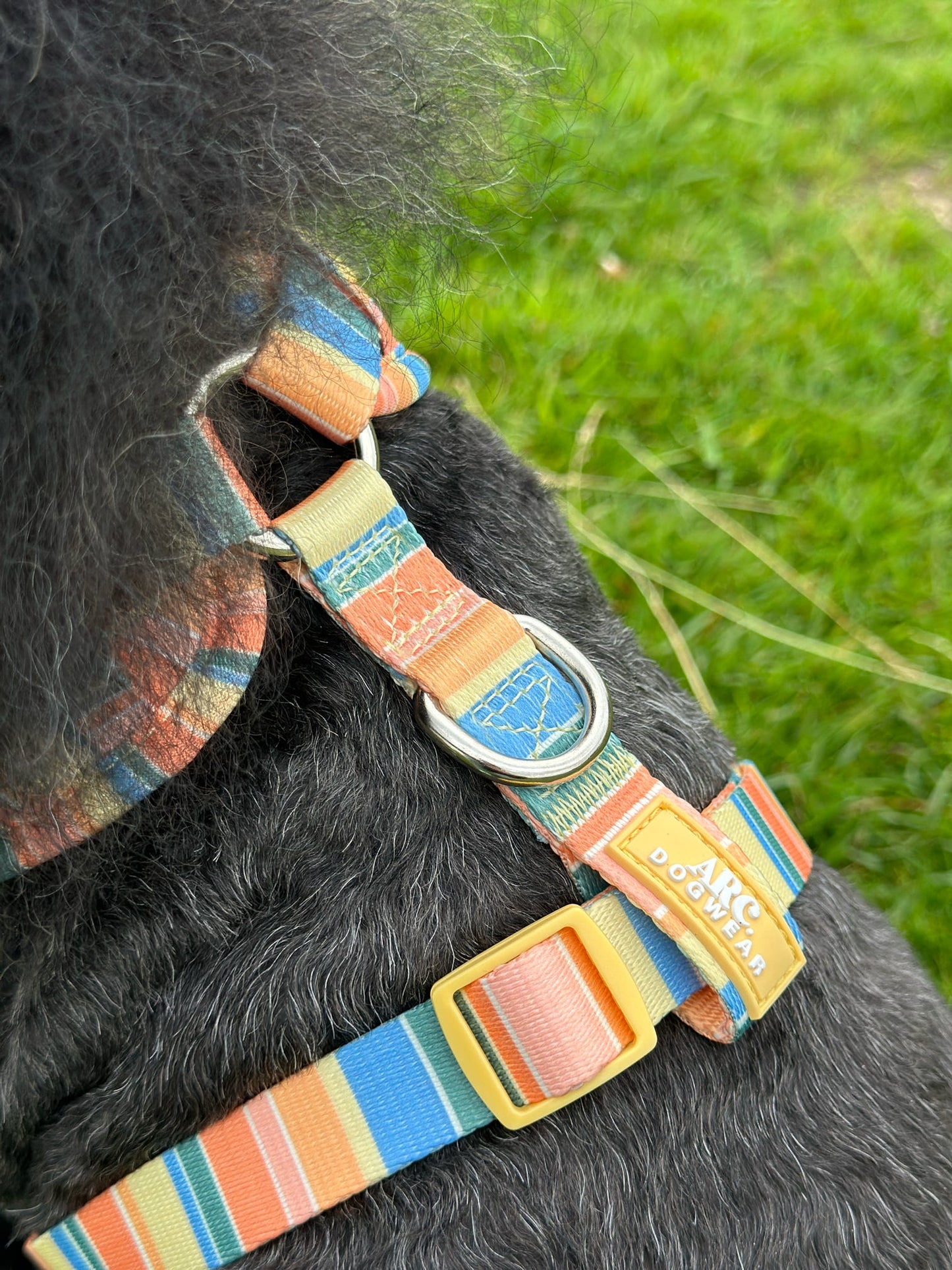 Sete Adjustable Harness