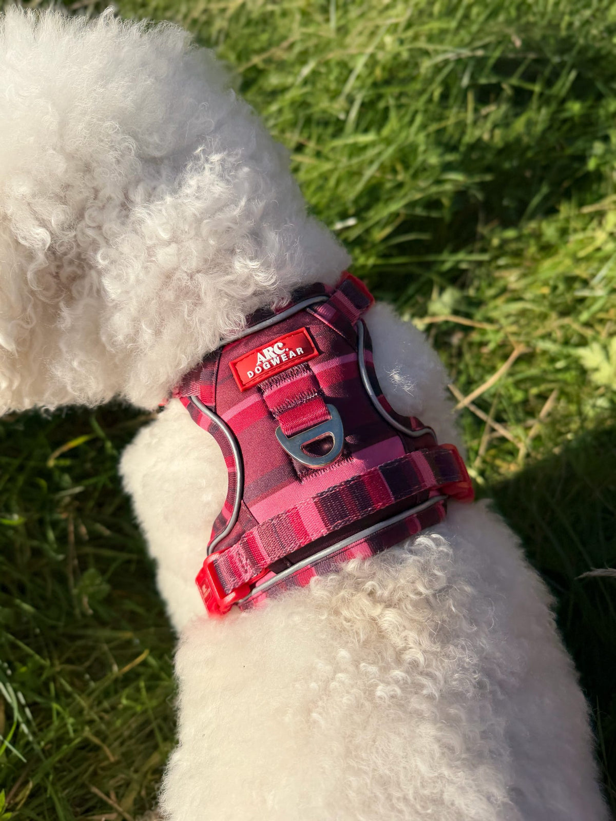 Bramble ARC. Adventurer Harness - New Size Guide