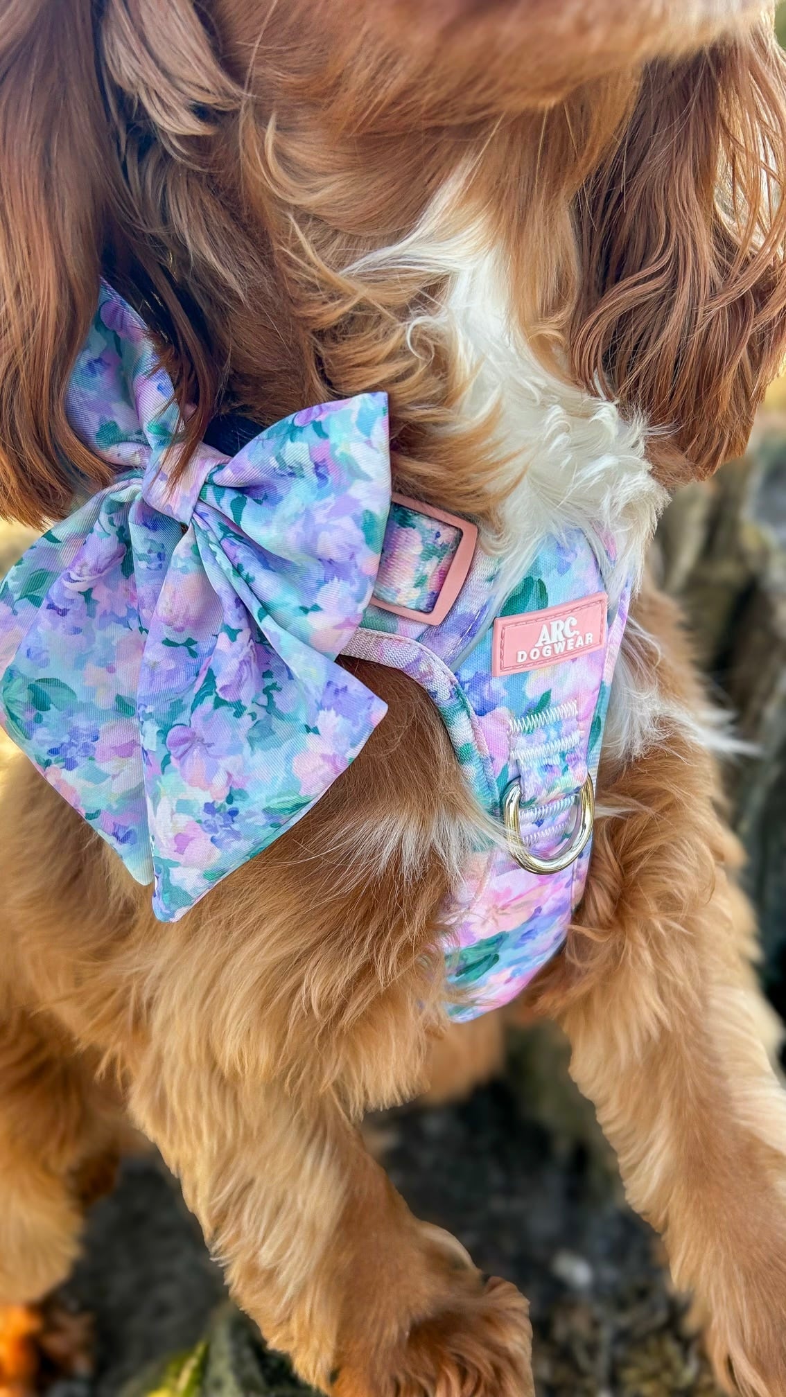 Mellie's Meadow ARC. Adventurer Harness