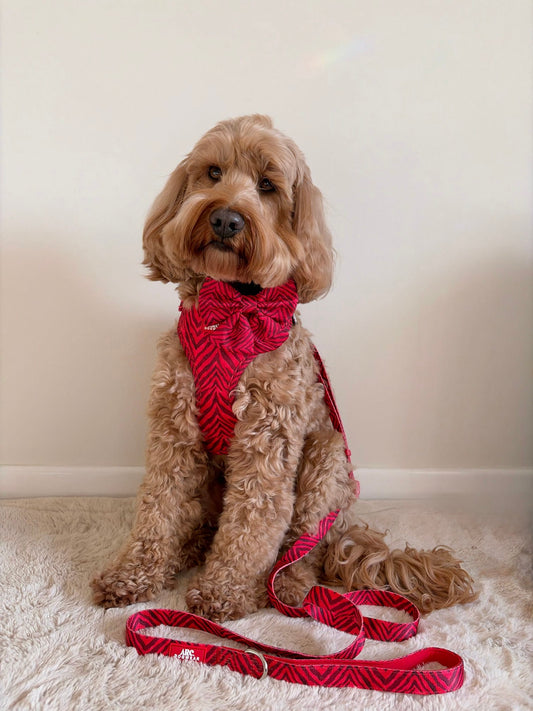 Wild at Heart Adjustable Lead