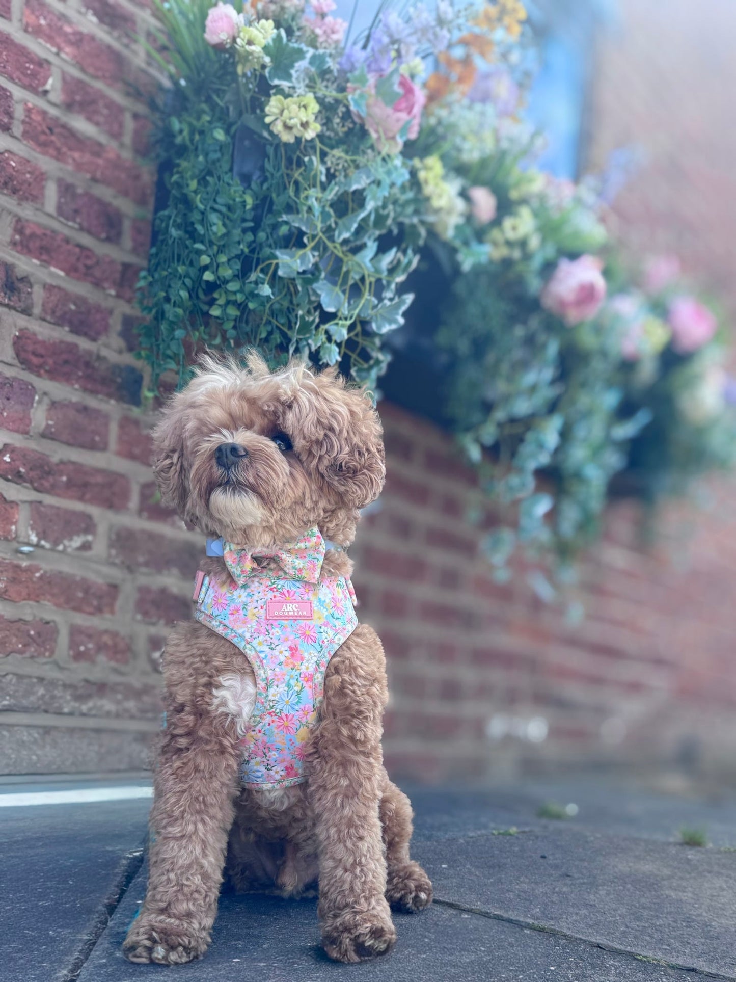 Flora Bow Tie