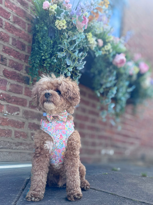 Flora Bow Tie