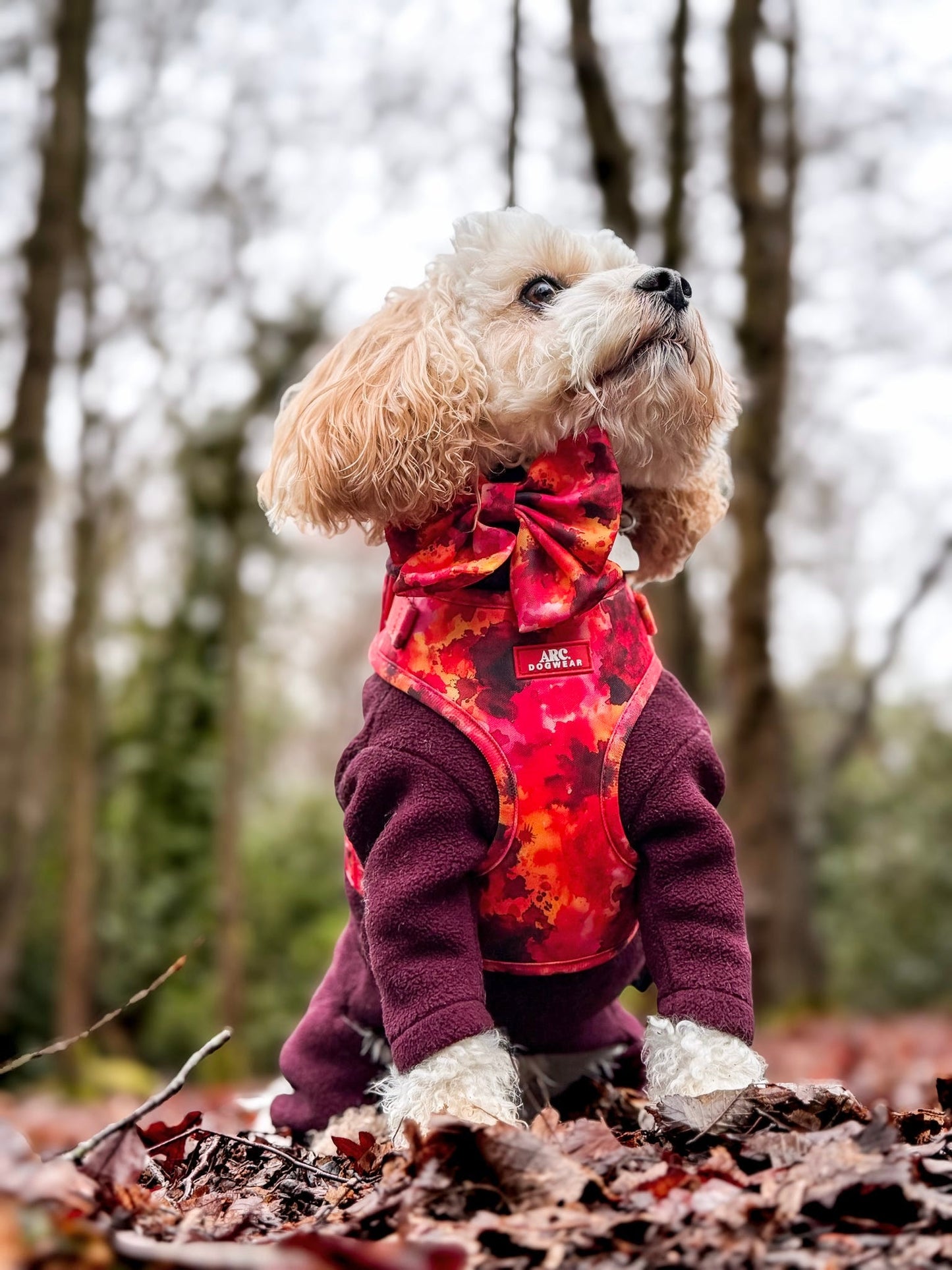 Ember Adjustable Harness