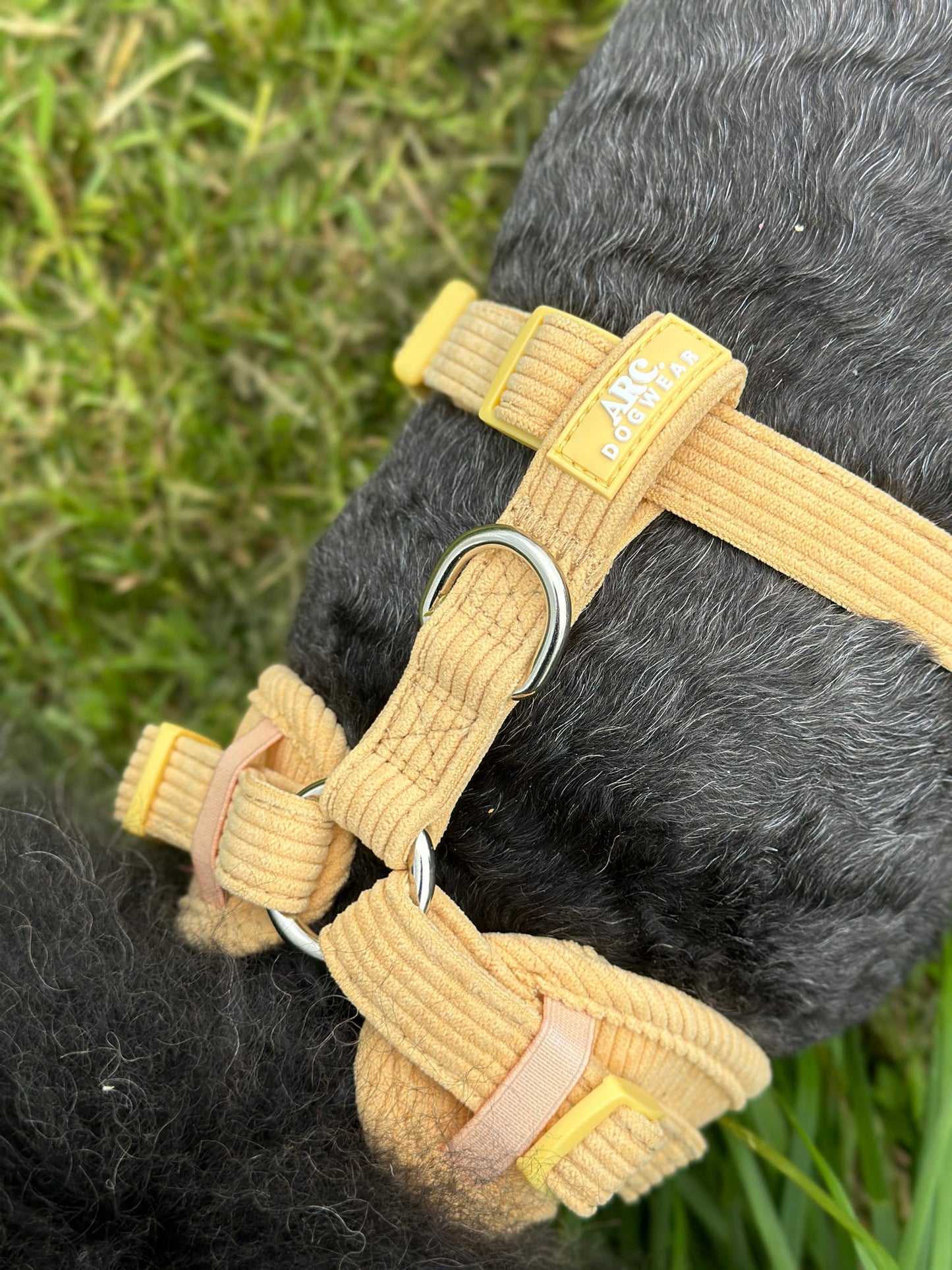 Sol Adjustable Harness (Corduroy)