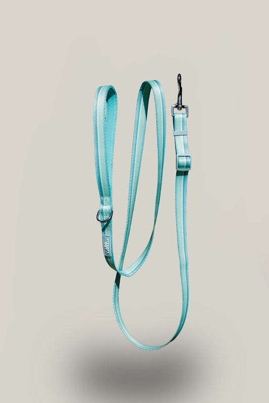 Vista Adjustable Lead