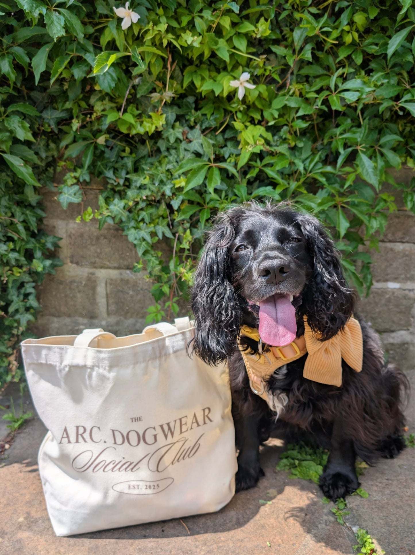 The Club Tote