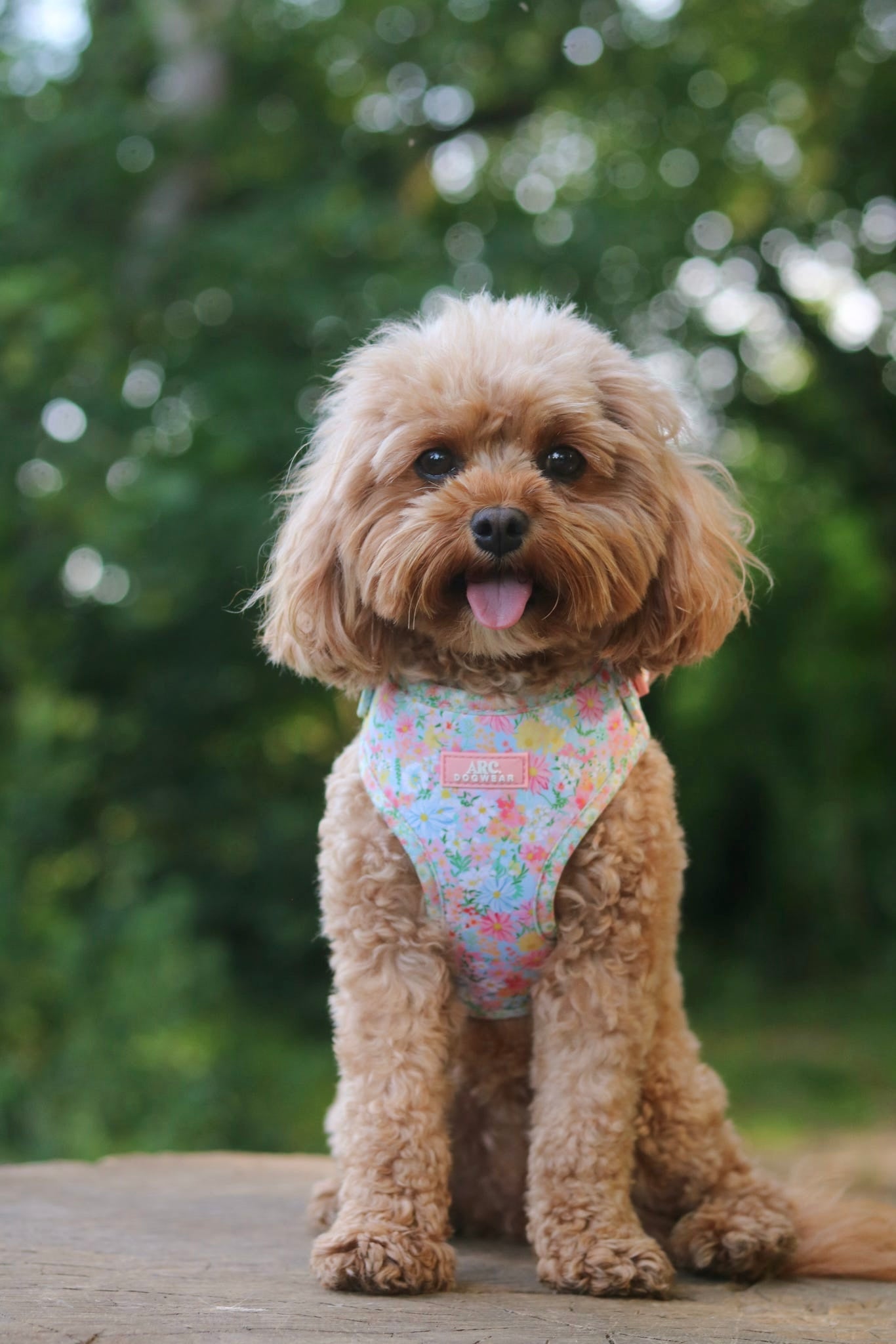 Flora Adjustable Harness