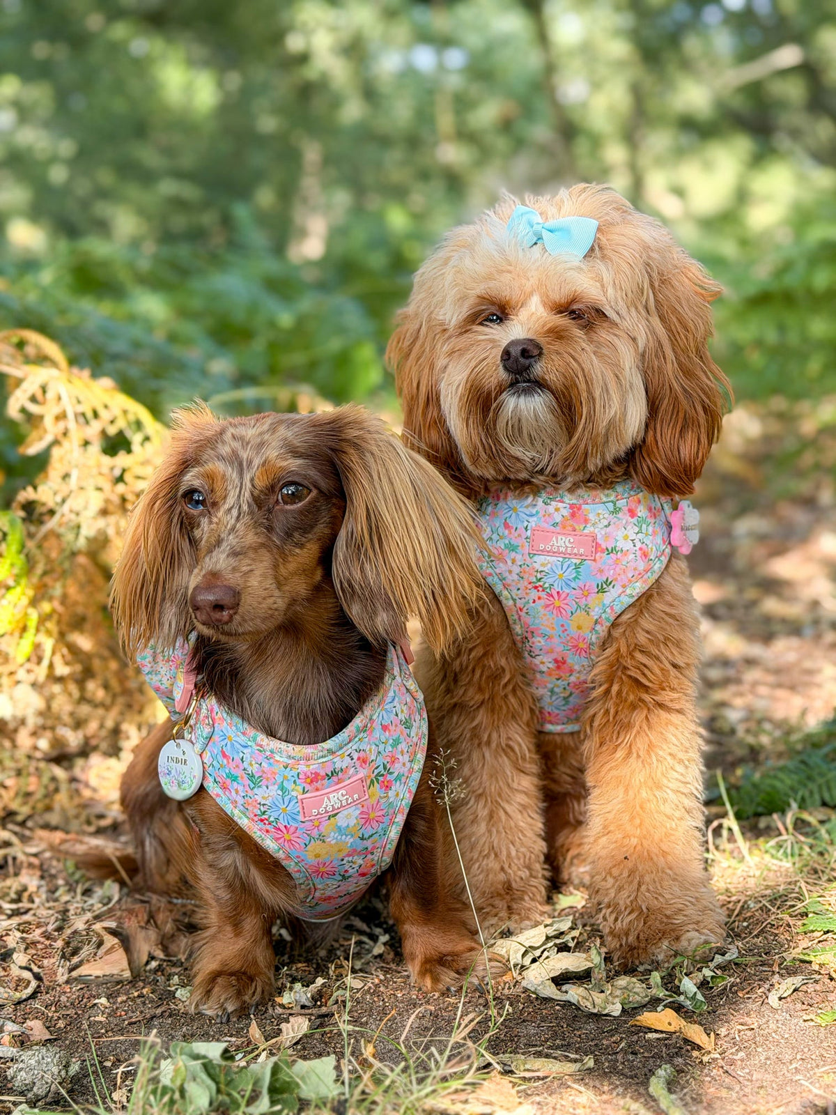 Flora Adjustable Harness