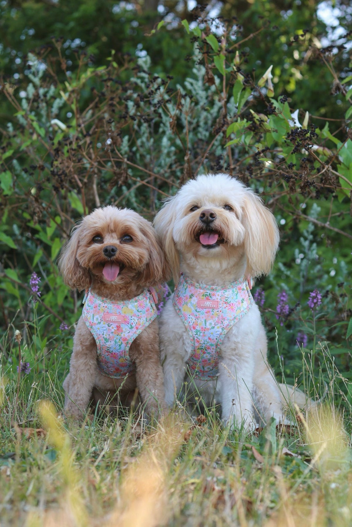Flora Adjustable Harness