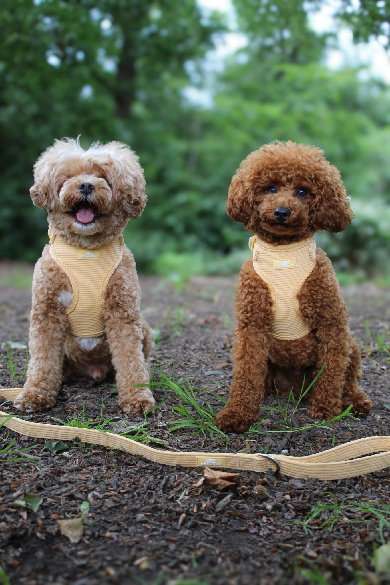 Sol Adjustable Lead (Corduroy)