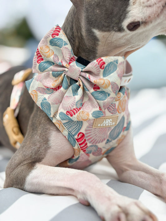 Say-Shells Sailor Bow