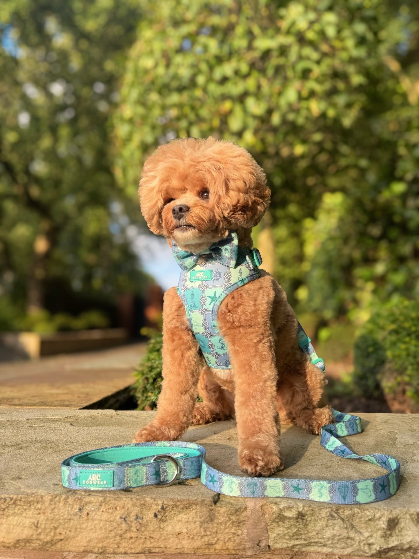 Sea-La-Vie Adjustable Fabric Lead