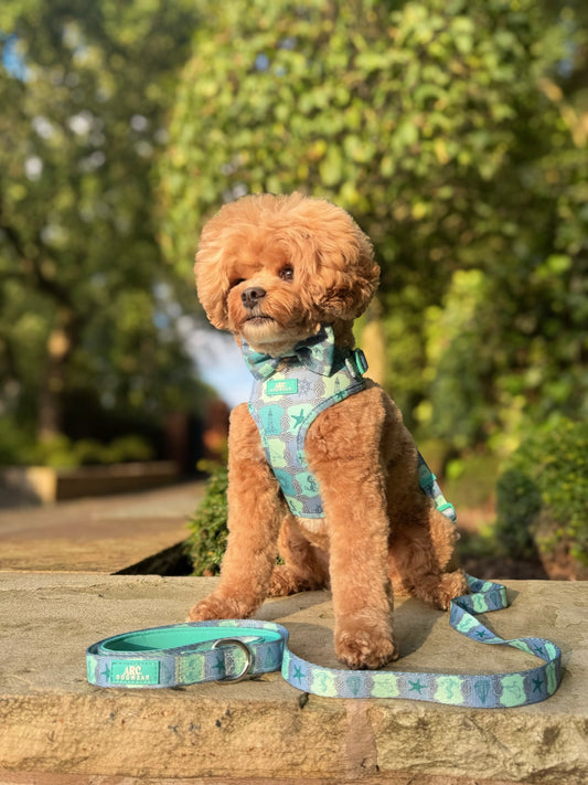 Sea-La-Vie Adjustable Fabric Lead