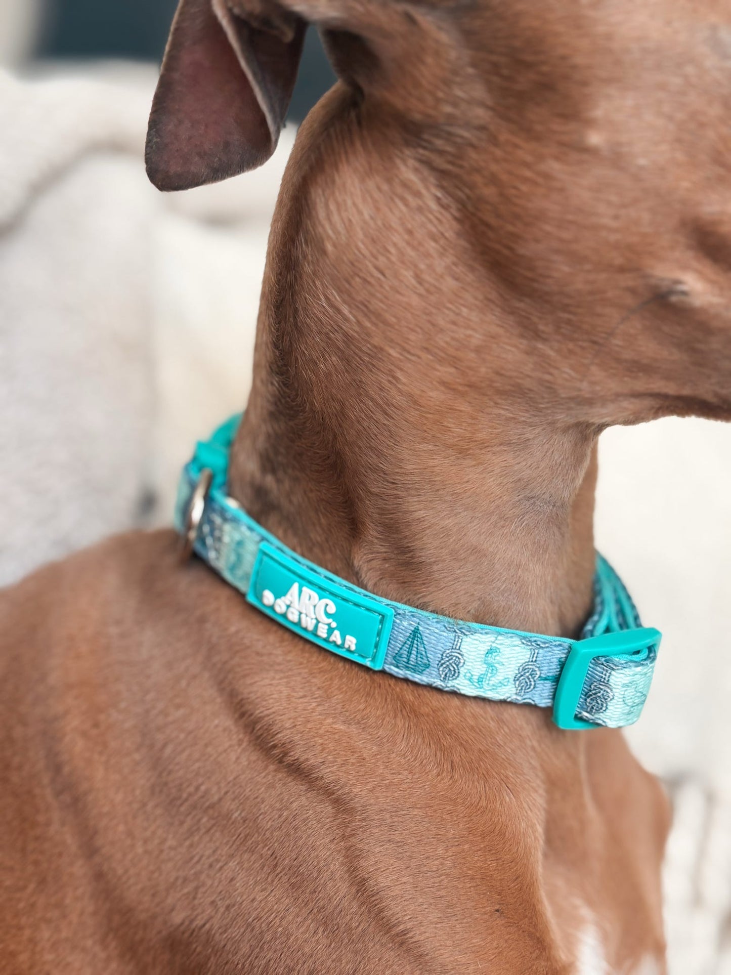 Sea-La-Vie Adjustable Collar