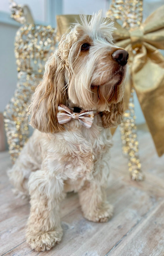 Starlight Bow Tie