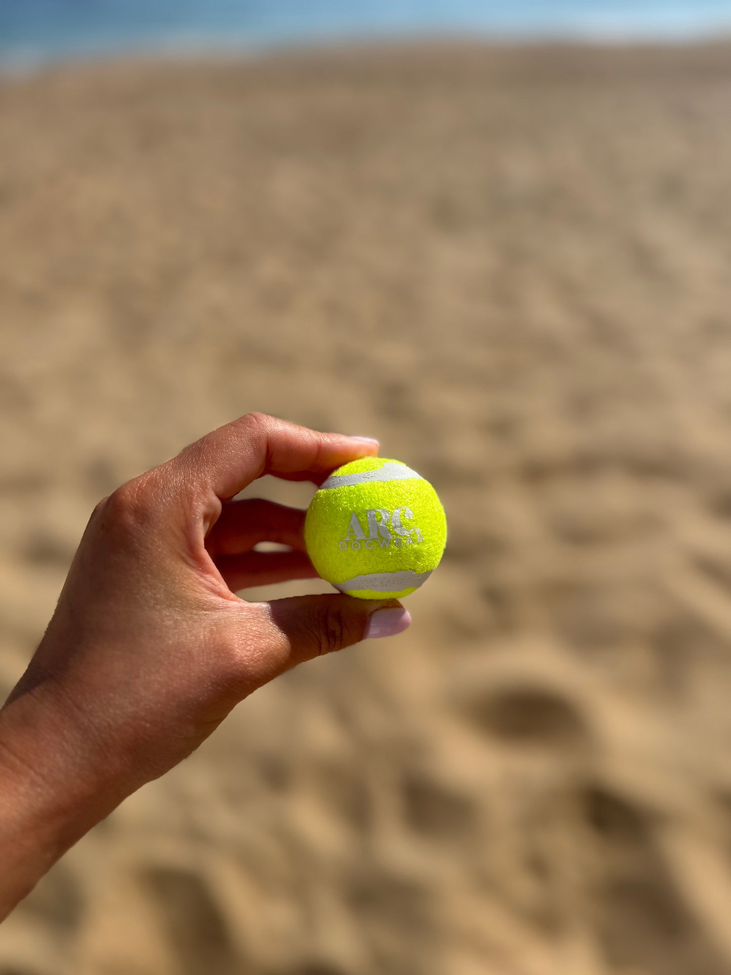 The Venture Ball
