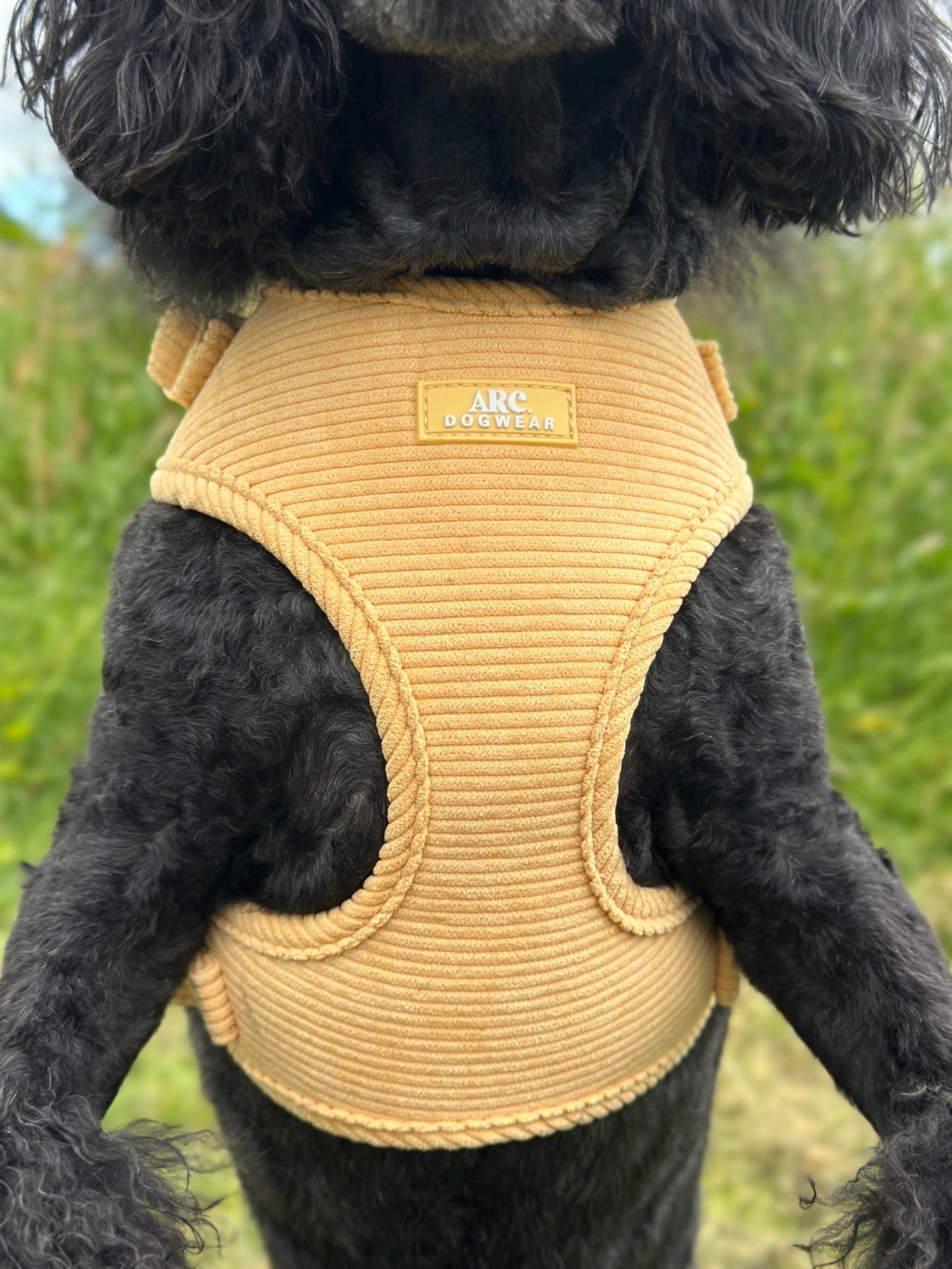 Sol Adjustable Harness (Corduroy)