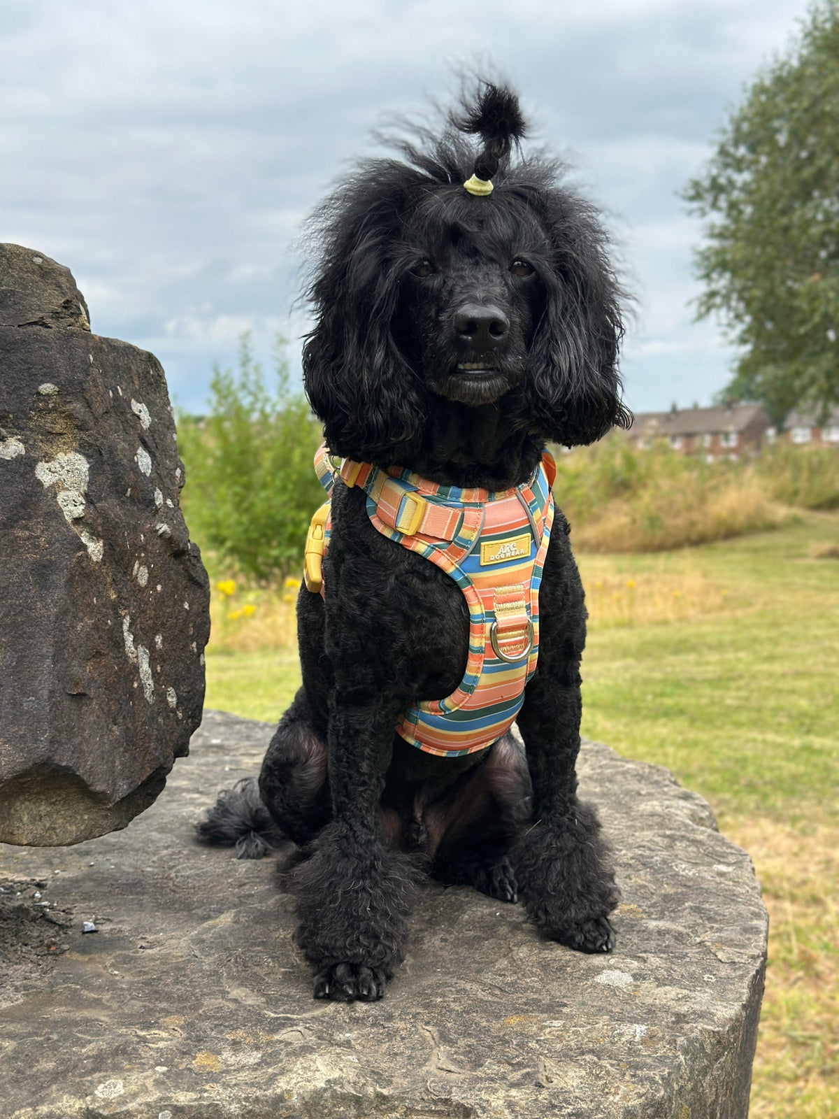 Sete ARC. Adventurer Harness - Original Size Guide