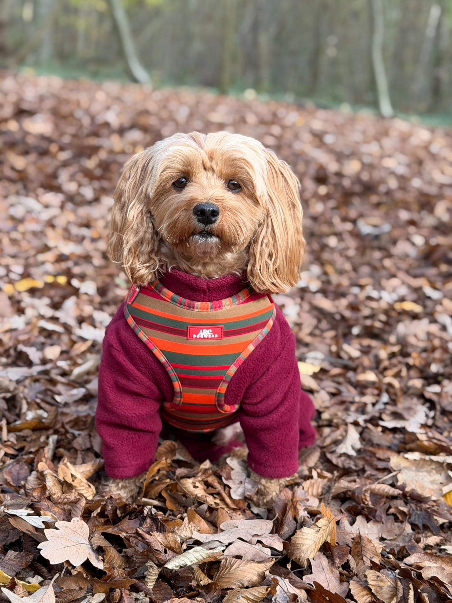 Horizon Adjustable Harness