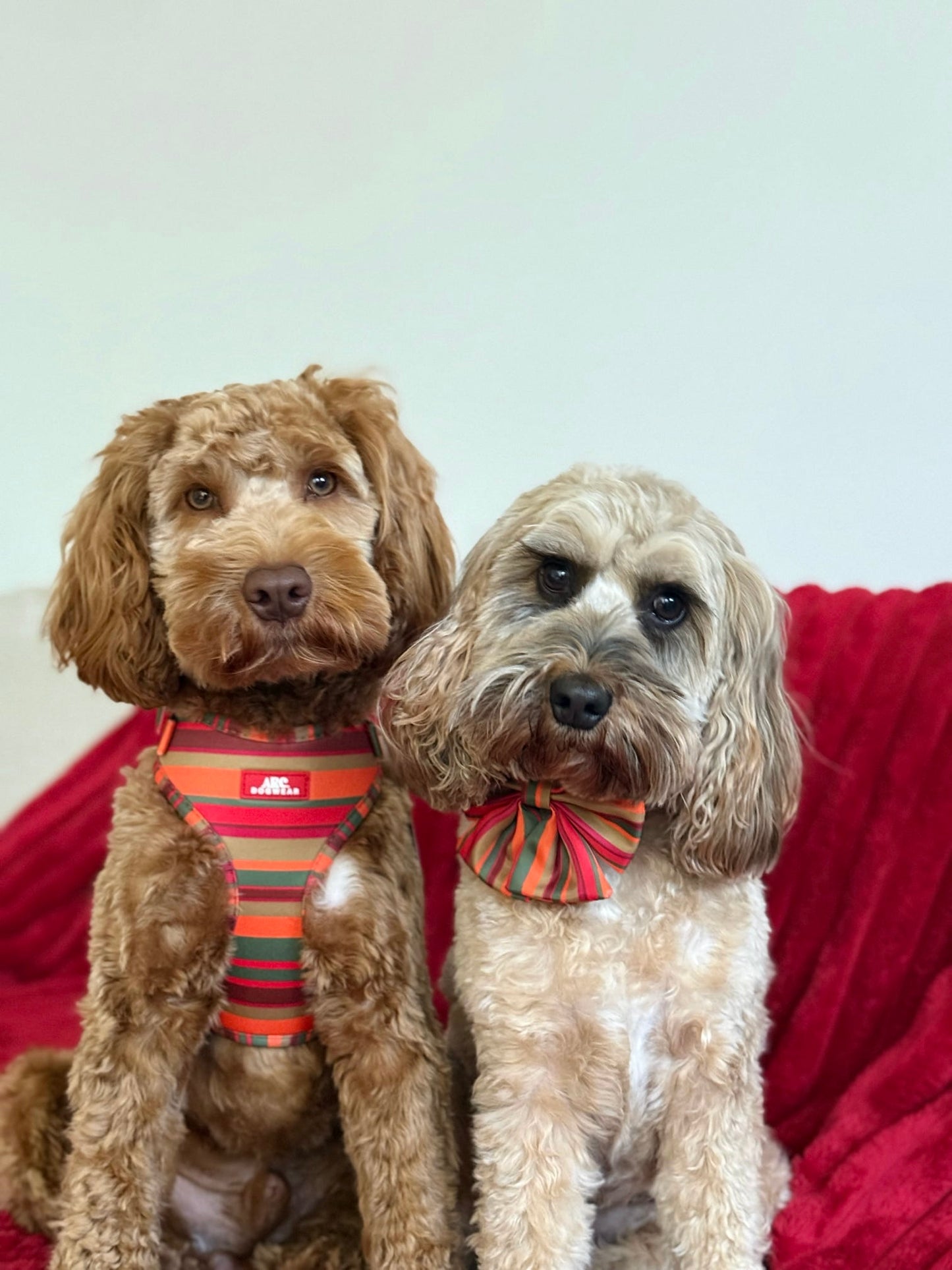 Horizon Adjustable Harness