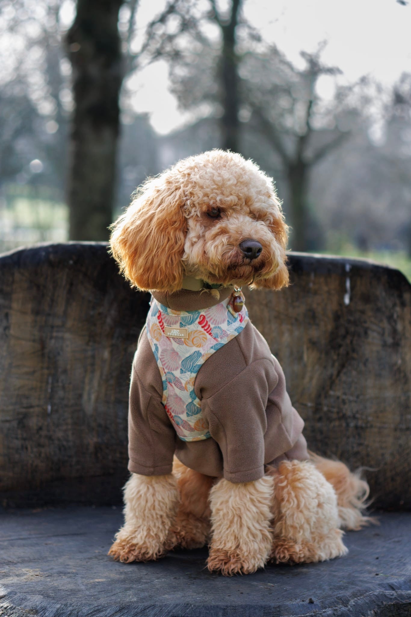 Say-Shells Adjustable Harness