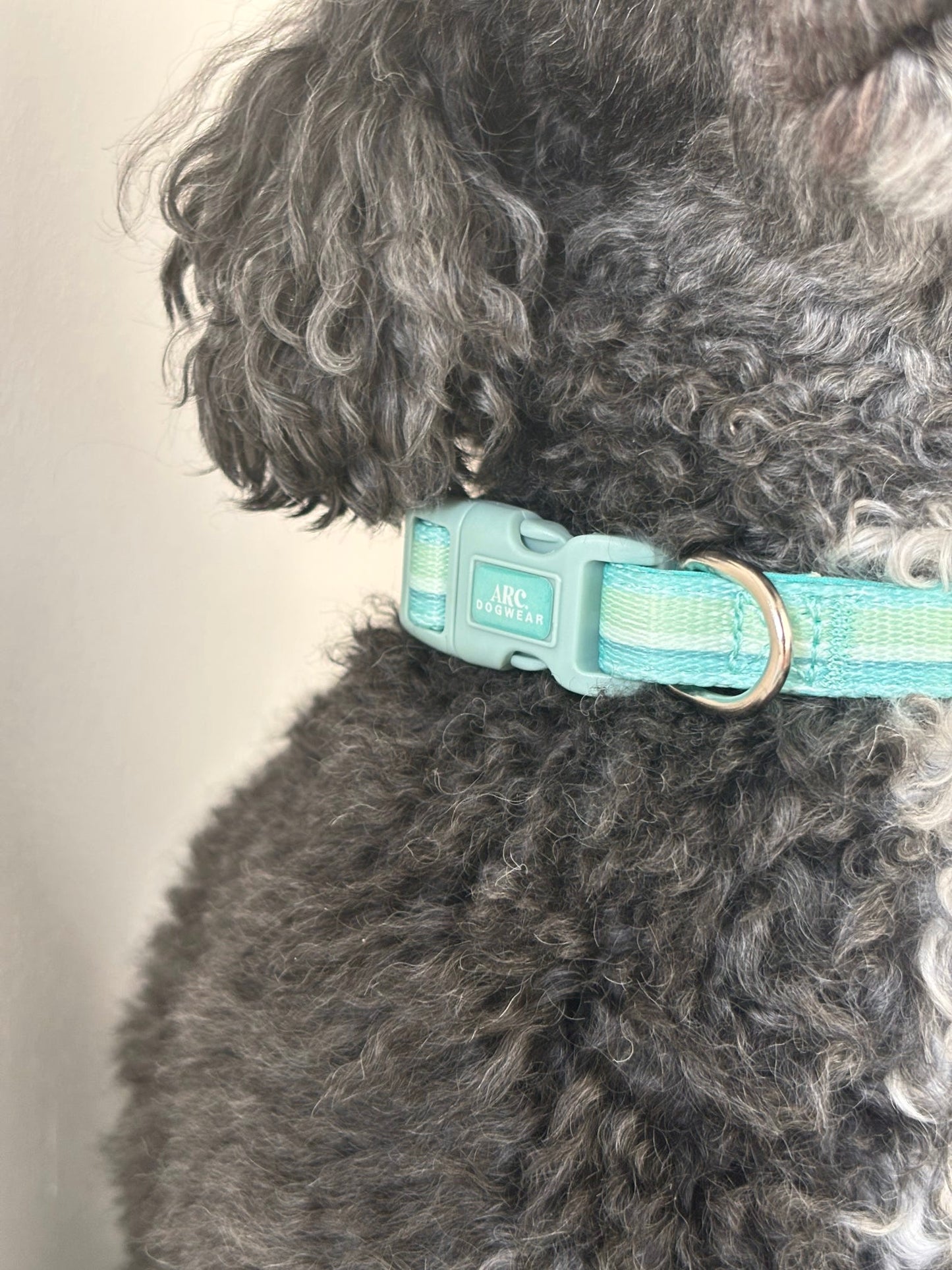 Vista Adjustable Collar
