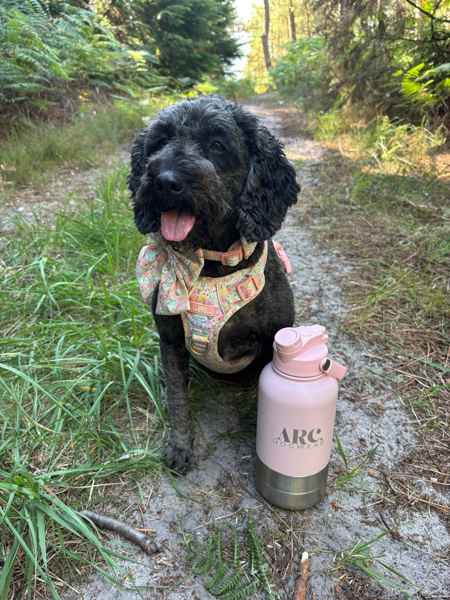 The Venture Bottle