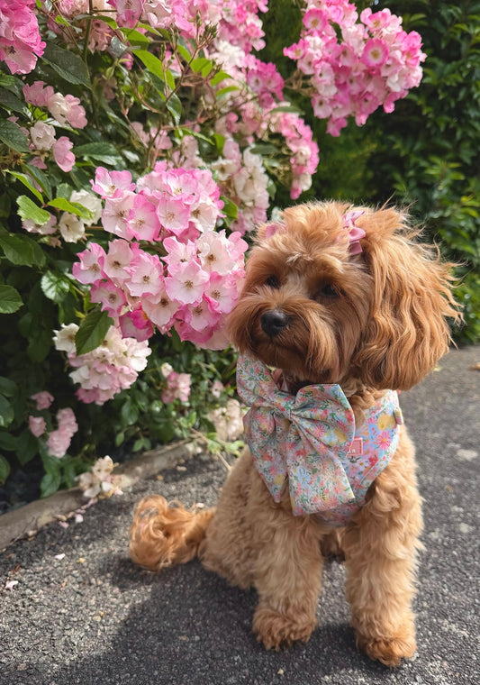 Flora Sailor Bow (Longer Tails)