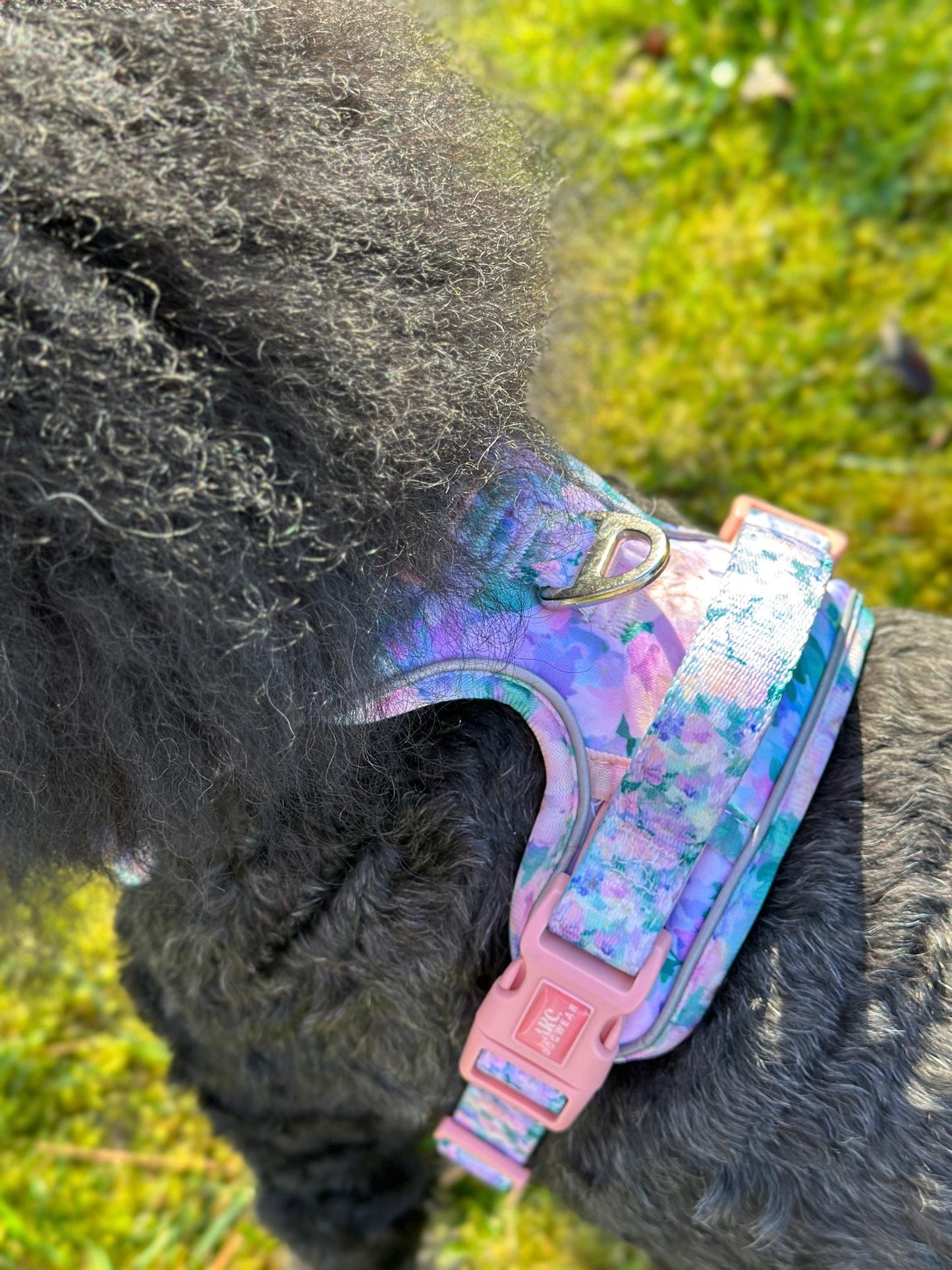 Mellie's Meadow ARC. Adventurer Harness